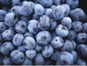 blueberries