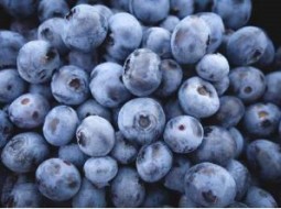 blueberries